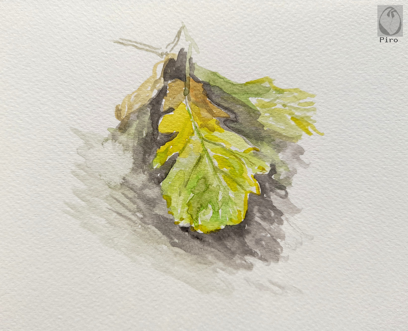 watercolours - acquerello di Piro